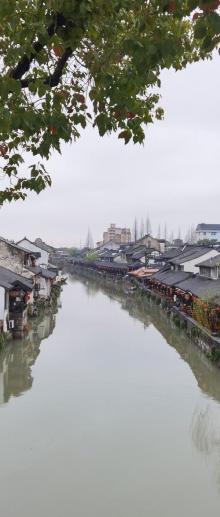 枫泾古镇27