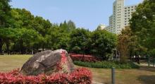 田林中心绿地5