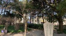 汇龙潭公园26
