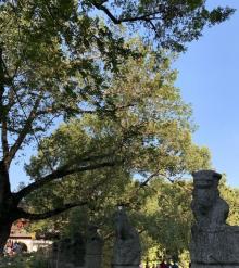 汇龙潭公园38
