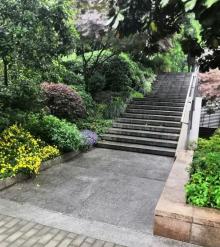 凉城公园5