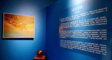北极熊画廊10