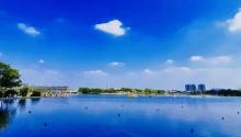 远香湖36