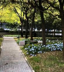 花木公园3