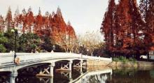 丽娃河4