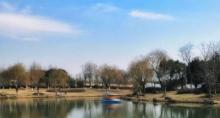 闵行滨江湿地公园5