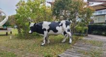 中国乳业博物馆2