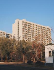 松江大学城4