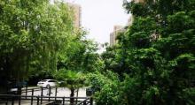 松江大学城6
