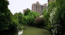 松江大学城7