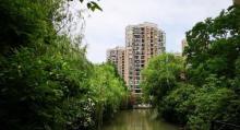 松江大学城8