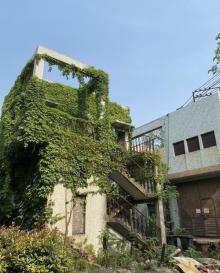 上海交通大学植物园2