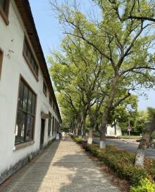 上海交通大学植物园3