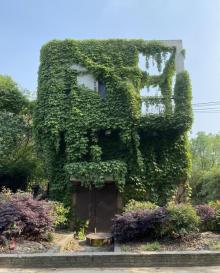 上海交通大学植物园4