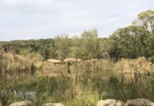 同里国家湿地公园36