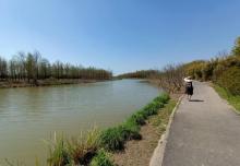 东滩湿地公园33