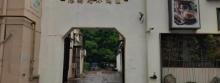 潍坊路小游园1