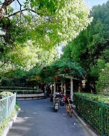 潍坊路小游园3
