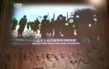 树德里2