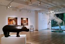 杜梦堂Galerie DUMONTEIL15