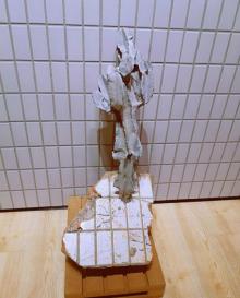 阿尔敏莱希画廊31