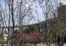 南浦广场公园3
