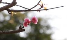 南浦广场公园9