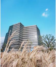 西岸艺岛ART Tower16