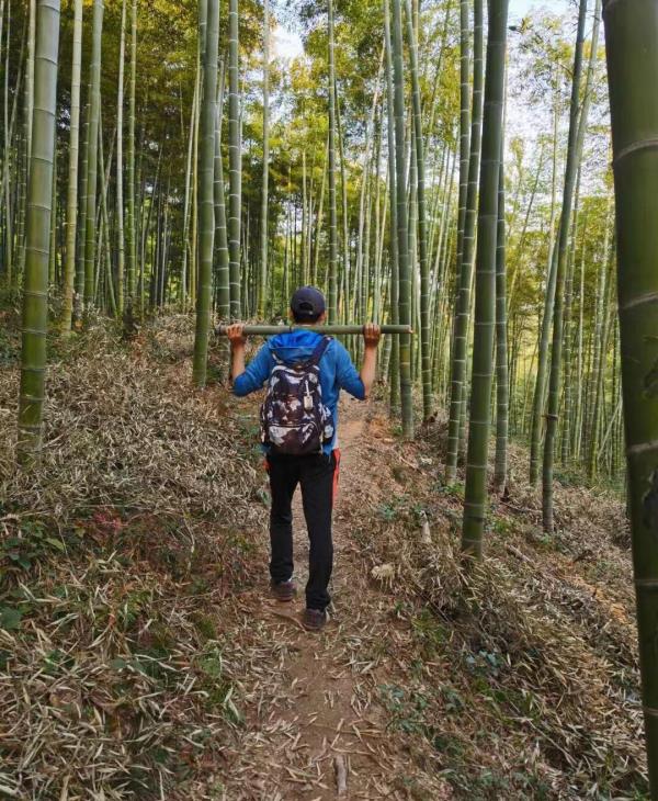 陆羽古道