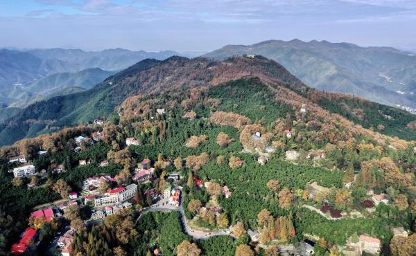 荫山街