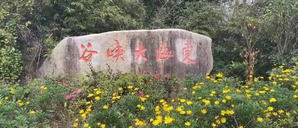 东海大峡谷