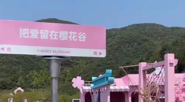 张村樱花谷