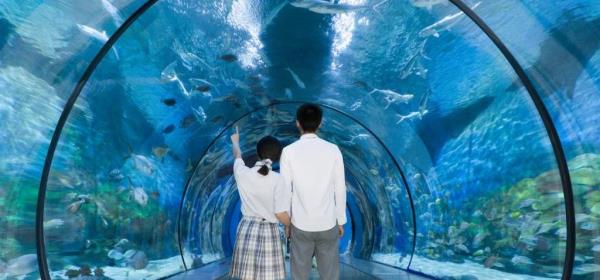 宁波海洋世界