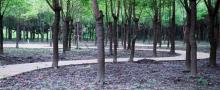 嘉北郊野公园3
