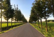 嘉北郊野公园12