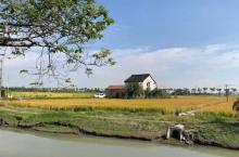 嘉北郊野公园30