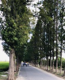 嘉北郊野公园33