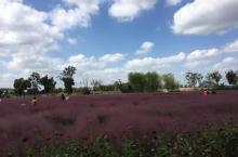 嘉北郊野公园36