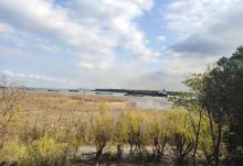 宝山滨江公园8