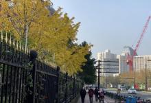 徐汇中学崇思楼15