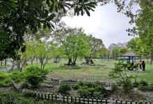 大宁灵石公园广场9
