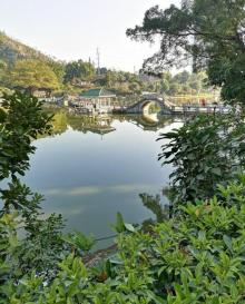 曹杨公园4