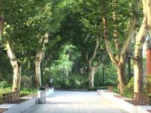 曹杨公园9