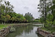 曹杨公园10