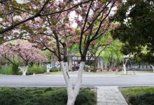 曹杨公园14