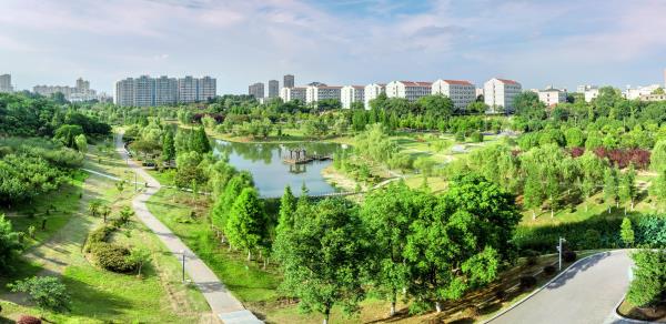 江苏大学