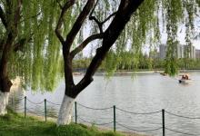 大宁公园18