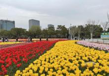 大宁公园32