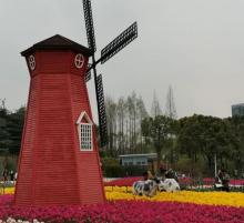 大宁公园9
