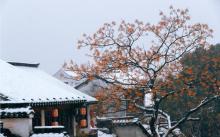 西塘风景区23